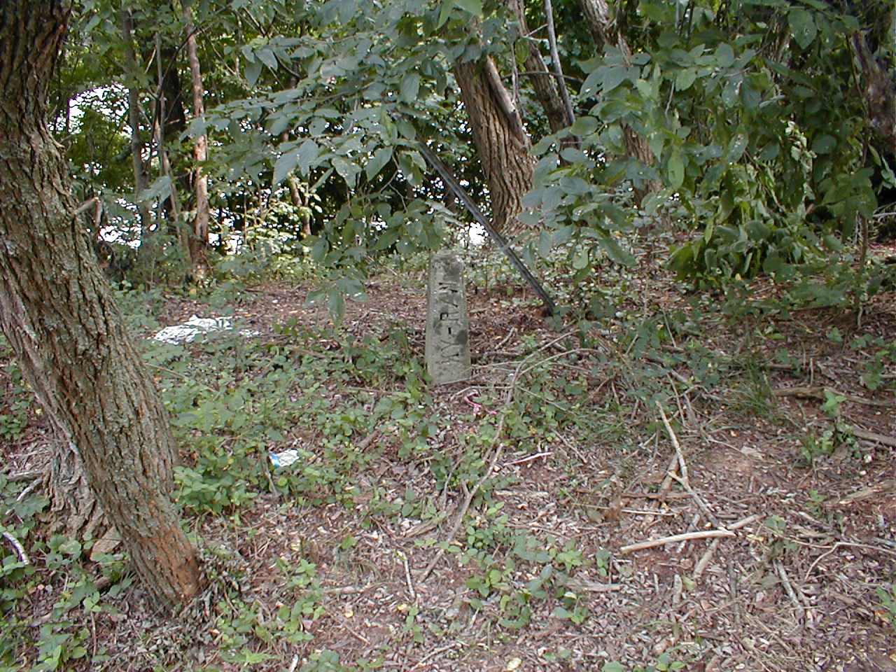 An old Kentucky right of way marker.