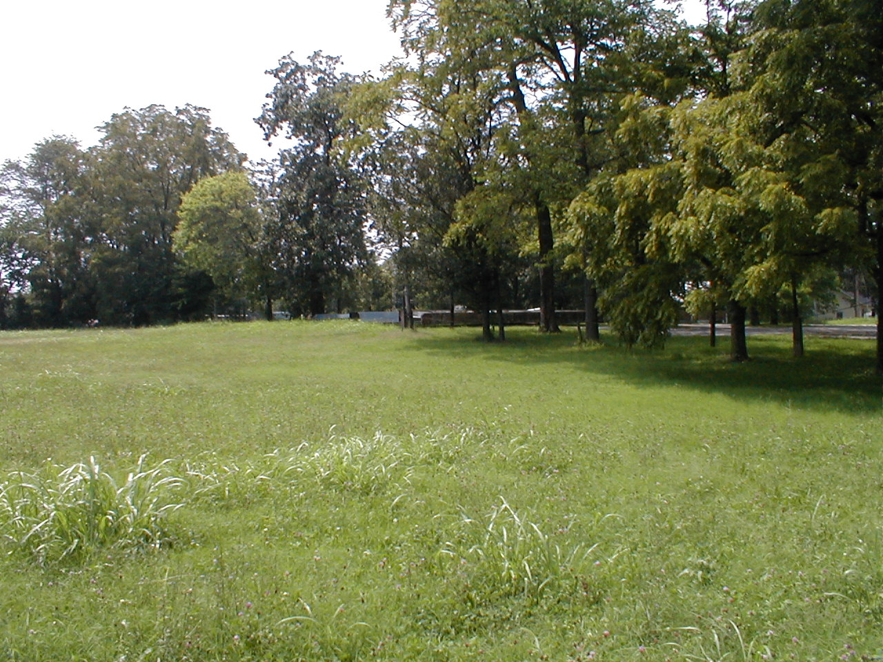 The recycled I-beams are obscured by trees.